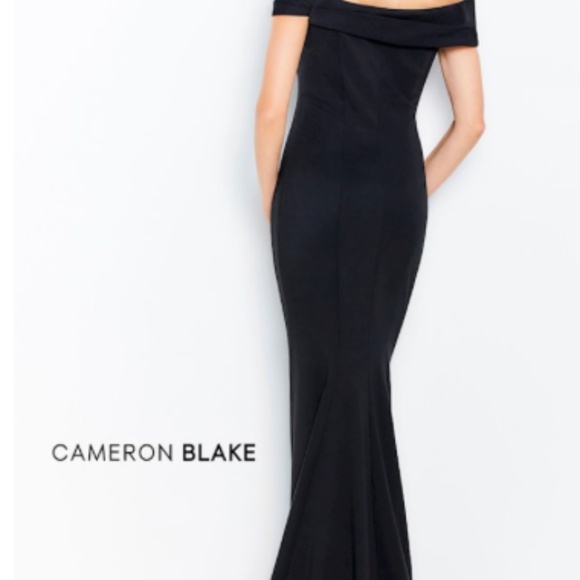 Cameron Blake - 120604 Asymmetrical Seamed Evening Dress (SIZE 12) - Picture 3 of 4